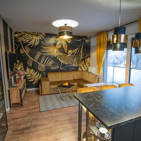 Apartament w Cieplicach 6 Gold Jelenia Góra Zewnętrze zdjęcie