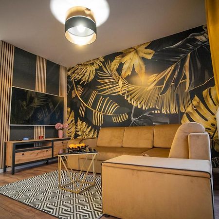 Apartament w Cieplicach 6 Gold Jelenia Góra Zewnętrze zdjęcie